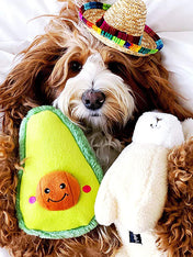 zippy-paws-peluche-pour-chien-avocado