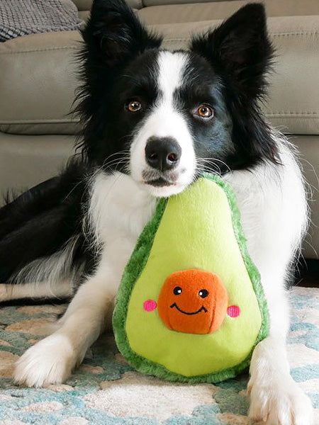 zippy-paws-peluche-pour-chien-avocado