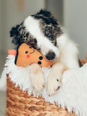 zippy-paws-peluche-pour-chien-bubble-tea