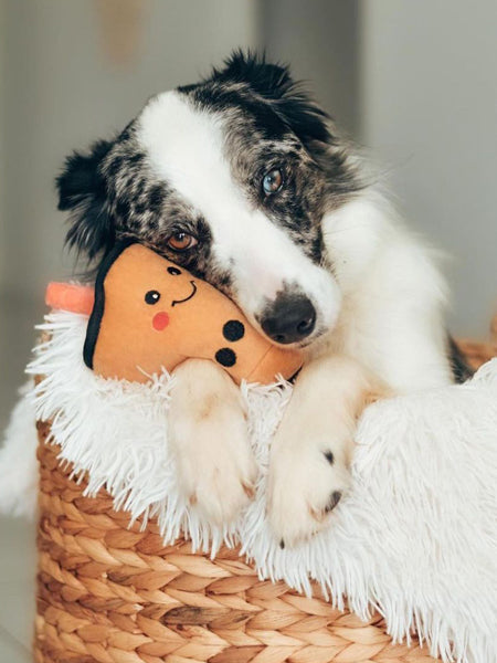 zippy-paws-peluche-pour-chien-bubble-tea