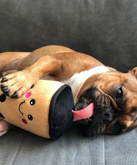 zippy-paws-peluche-pour-chien-bubble-tea