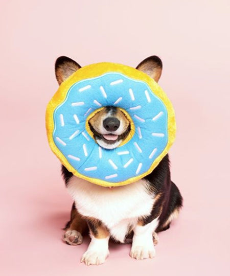 zippy-paws-peluche-pour-chien-donut-myrtille-corgi