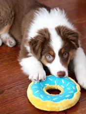 zippy-paws-peluche-pour-chien-donut-chocolat