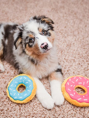 zippy-paws-peluche-pour-chien-donutz