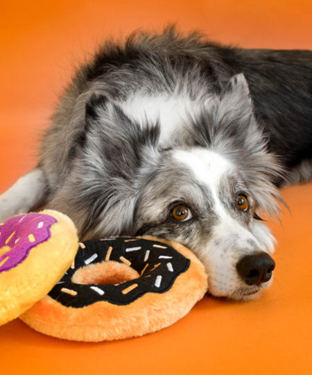 zippy-paws-peluche-pour-chien-donutz-halloween