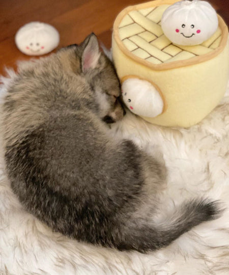 zippy-paws-peluche-pour-chien-dumpling