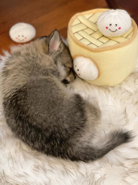 zippy-paws-peluche-pour-chien-dumpling