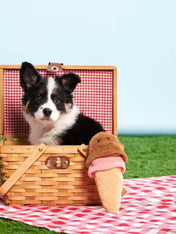 zippy-paws-peluche-pour-chien-glace