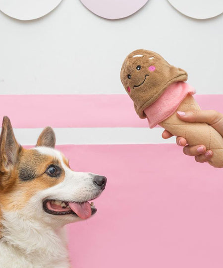 zippy-paws-peluche-pour-chien-glace