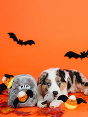 zippy-paws-peluche-pour-chien-halloween