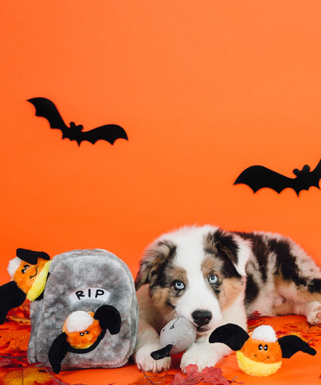 zippy-paws-peluche-pour-chien-halloween