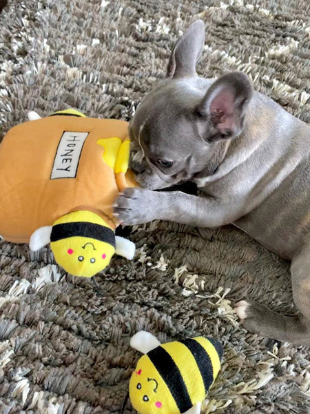 zippy-paws-peluche-pour-chien-honey-pot