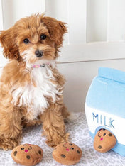 zippy-paws-peluche-pour-chiot-milk-cookies