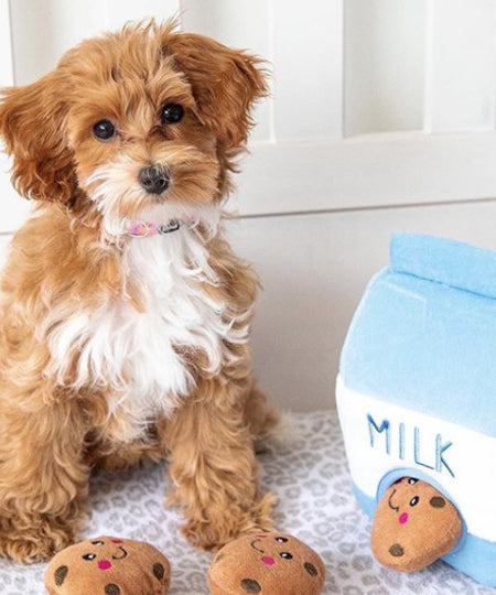 zippy-paws-peluche-pour-chiot-milk-cookies