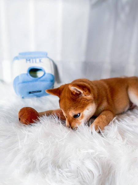 zippy-paws-peluche-pour-chien-milk-cookies