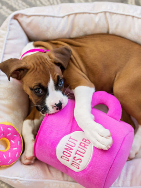 zippy-paws-peluche-pour-chien-mug-donut