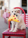 zippy-paws-peluche-pour-chien-pizza