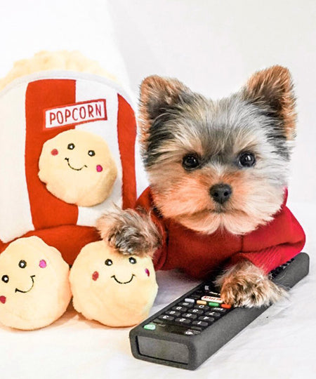 zippy-paws-peluche-pour-chien-popcorn