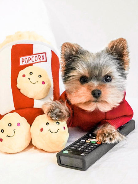 zippy-paws-peluche-pour-chien-popcorn