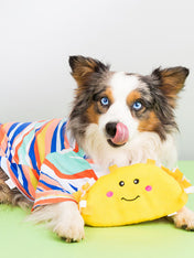 zippy-paws-peluche-pour-chien-tacos