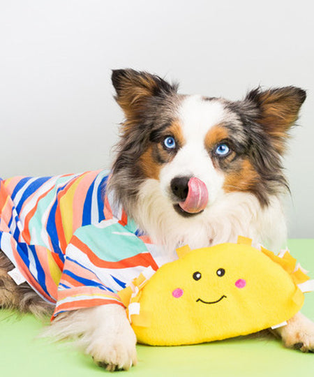 zippy-paws-peluche-pour-chien-tacos