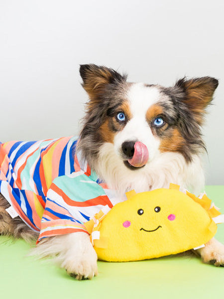zippy-paws-peluche-pour-chien-tacos