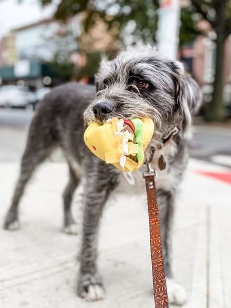 zippy-paws-peluche-pour-chien-tacos