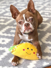 zippy-paws-peluche-pour-chien-tacos