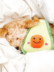 zippy-paws-peluche-pour-chiot-avocat