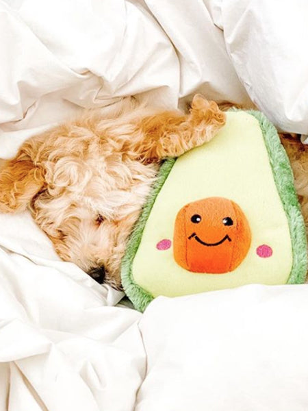 zippy-paws-peluche-pour-chiot-avocat