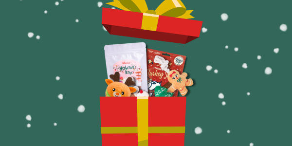 Boutique de Noël pour chien et chat inooko (1)