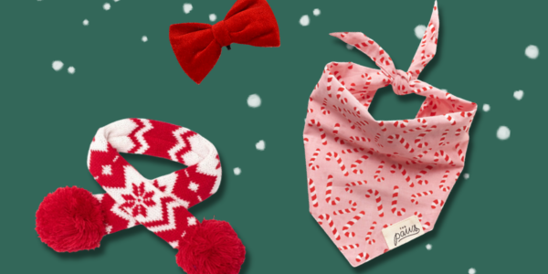 Boutique de Noël pour chien et chat inooko (1)