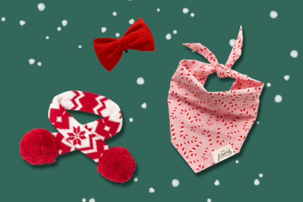 Boutique de Noël pour chien et chat inooko (1)