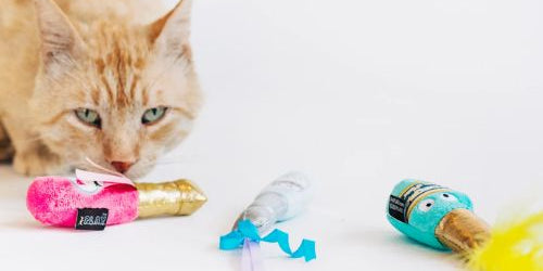 Boutique de Noël - Nos idées cadeaux pour chat 