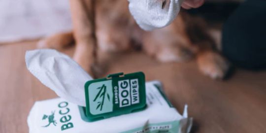 Inooko Les meilleurs soins pour chiot – inooko