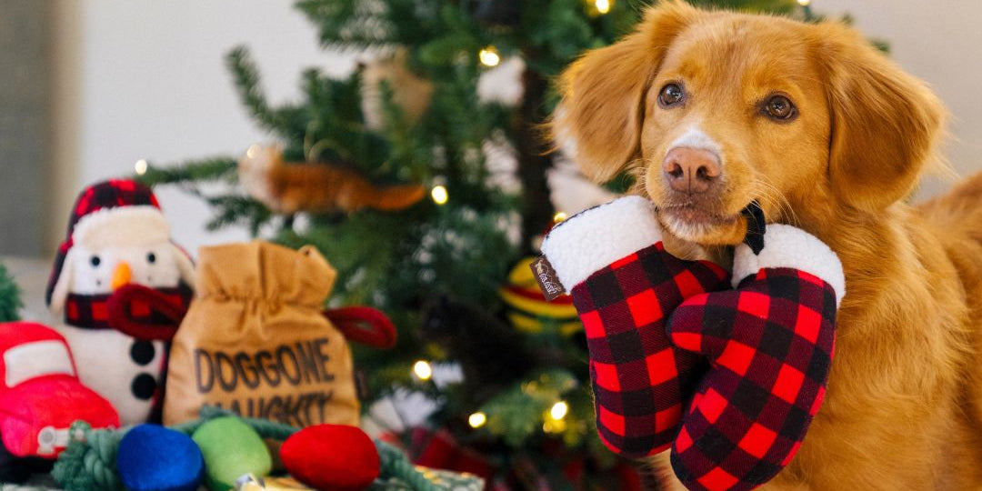 boutique de noël pour chien et chat inooko