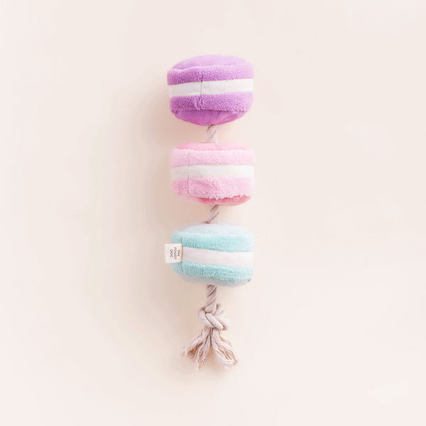 The-Foggy-Dog-peluche-fouille-balle-pour-chien-macarons