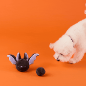 The-Foggy-Dog-balle-fouille-balle-pour-chien-chauve-souris