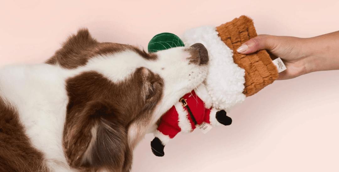 boutique de noël pour chien - bannière