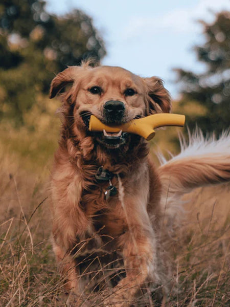       Beco-pets-jouet-a-baton-Super-Stick-resistant-jaune