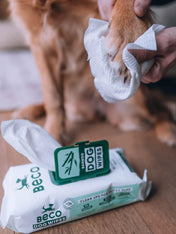     Becopets-lingettes-bambou-eco-friendly-ecologique-pour-chien-sans-parfum