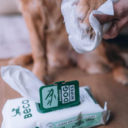     Becopets-lingettes-bambou-eco-friendly-ecologique-pour-chien-sans-parfum