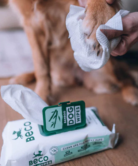     Becopets-lingettes-bambou-eco-friendly-ecologique-pour-chien-sans-parfum