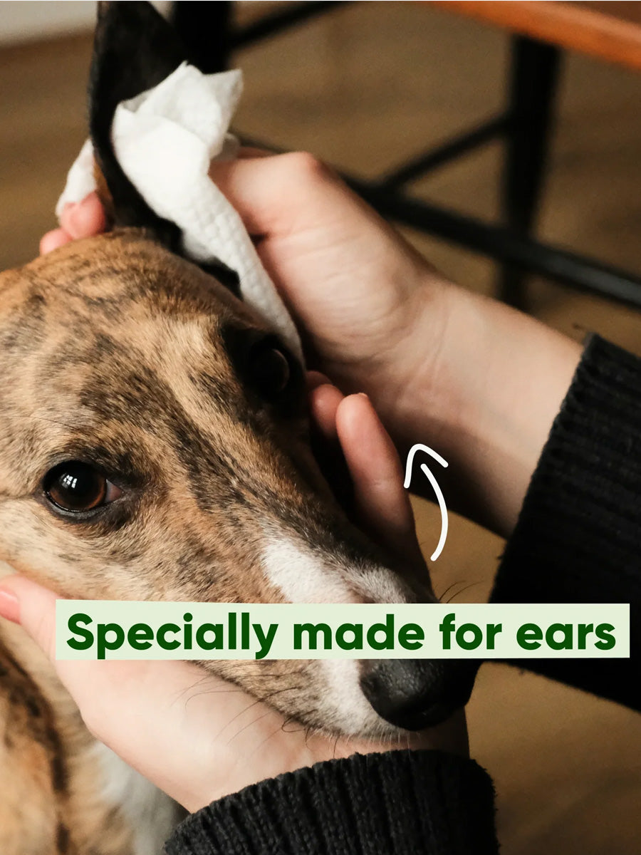 Becopets-lingettes-oreilles-pour-chien-sensible-ecologique