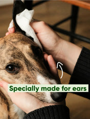 Becopets-lingettes-oreilles-pour-chien-sensible-ecologique