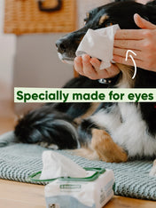 Becopets-lingettes-yeux-pour-chien-sensible-ecologique