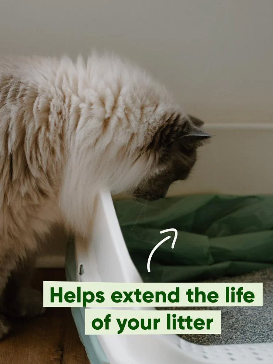Becopets-sac-dejection-litiere-pour-chat-resistant-ecologique