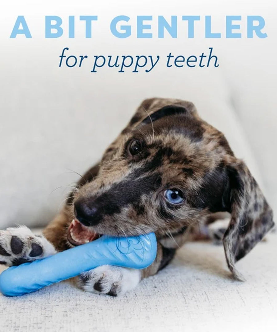 Benebone-pack-2-jouets-a-macher-pour-chiot-Dental-Rubber-Bone-wishbone