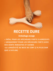 Betterbone-jouet-a-macher-pour-chien-naturel-hard-chew