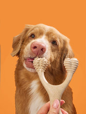 Betterbone-jouet-a-macher-pour-chien-naturel-hard-chew